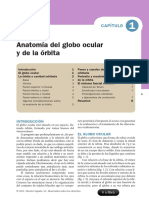 ORBITA SASS.pdf