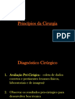 Princípios Da Cirurgia