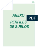 Codazzi - Perfiles Del Suelo