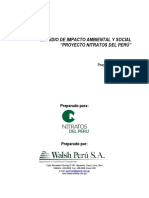 proyecto petroquimico pisco-peru.pdf