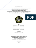 Translate Small Cell Neuroendocrine Carcinoma Primer Mediastinum