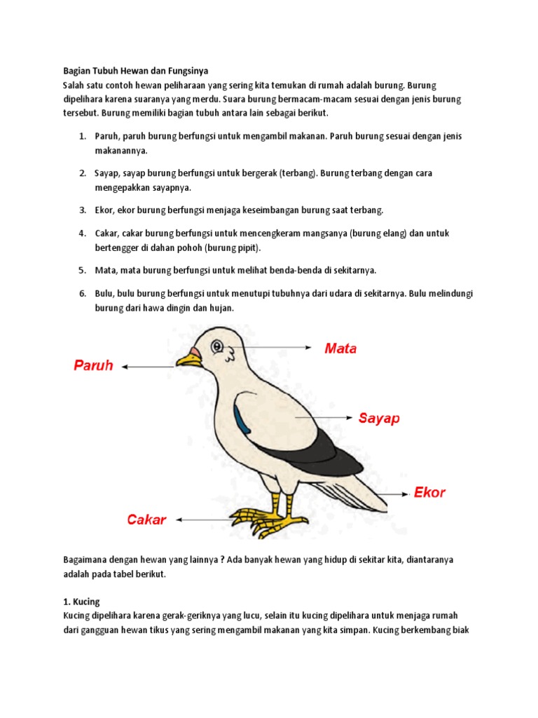 Bagian Tubuh Hewan  dan  Fungsinya  2 docx