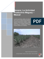 Oaxaca_La_Actividad_Productiva_Maguey_Me (1).pdf