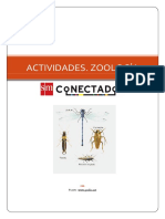 Clasificación de los artrópodos.pdf