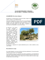 Manual de Información y Cuidados - v2 PDF