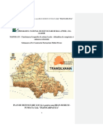 Plan Dezvoltare Locala TRANSCARPATICA PDF