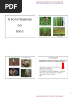 AULA VII - Fitopatogenos do solo