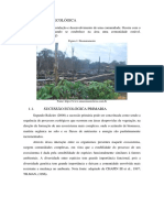 Estratégias de recuperação de áreas degradadas com sucessão ecológica e sistemas agroflorestais