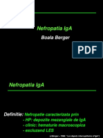 NEFROPATIA IG A- 2017.pptx