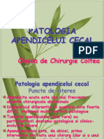 Curs 2 - Patologia Apendicelui Cecal
