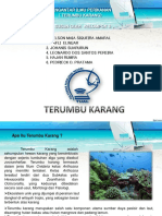 Terumbu Karang