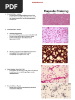 Rangkuman Mikrobiologi