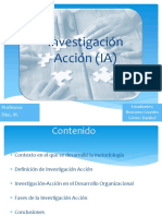 Investigación Accion