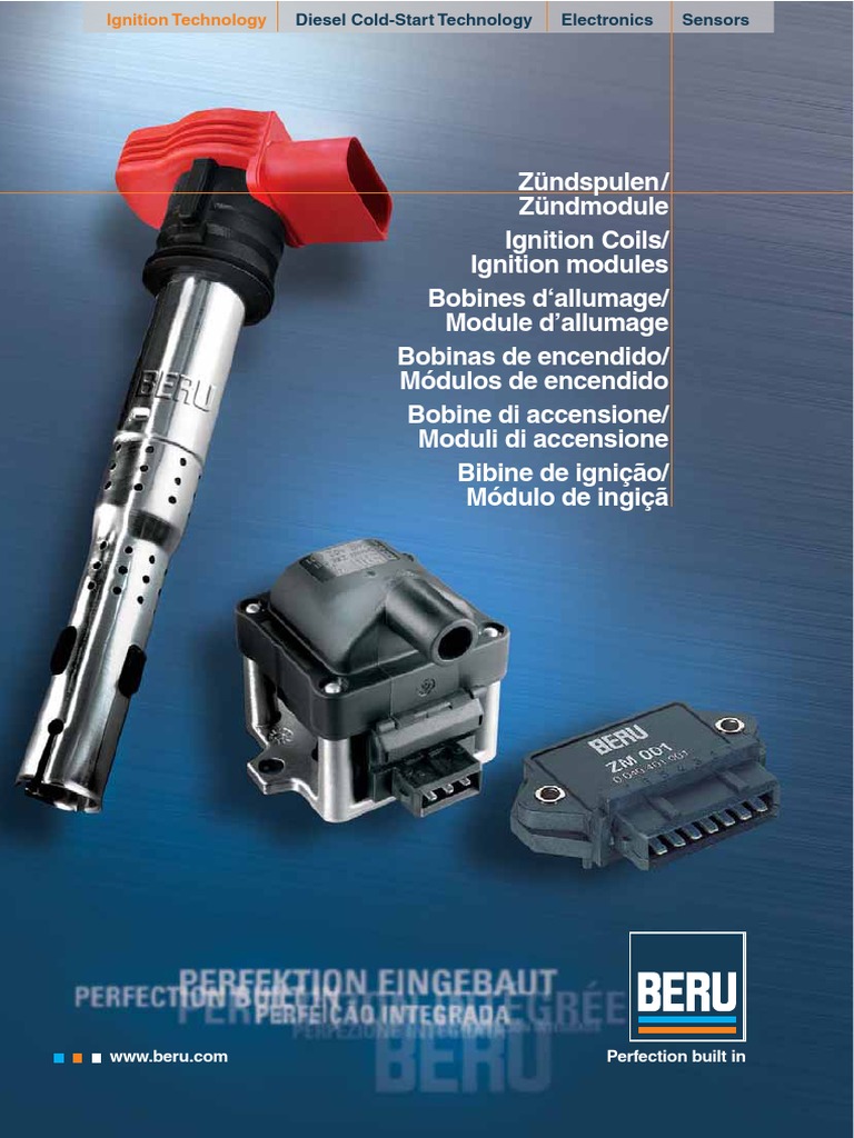 Beru 1 PDF | PDF