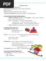 0_proiect_grad_ii.docx