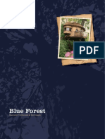 Blue Forest Broch 08