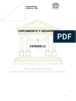 CEREBELO.pdf