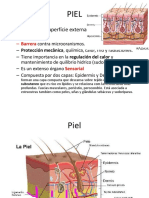 PIEL - Resumo para Michele PDF