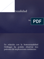 15. La Homosexualidad Para Hellinger