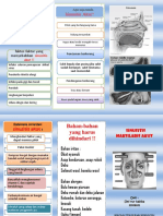 Leaflet Sinusitis