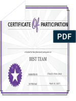 Certificate Participation: Best Team