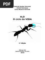 H2O - O ciclo de água