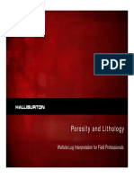2 - Lithology and Porosity PDF