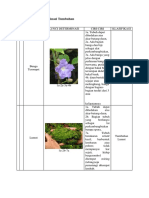 Contoh Kunci Determinasi Tumbuhan