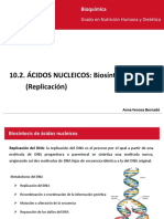 10.2 Ácidos Nucleicos Replicación_ Castellano
