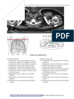 321861957-Coleccion-Moller-Atlas-de-Bolsillo-de-Cortes-Anatomicos2007.pdf