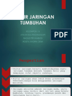 Kultur Jaringan Tumbuhan