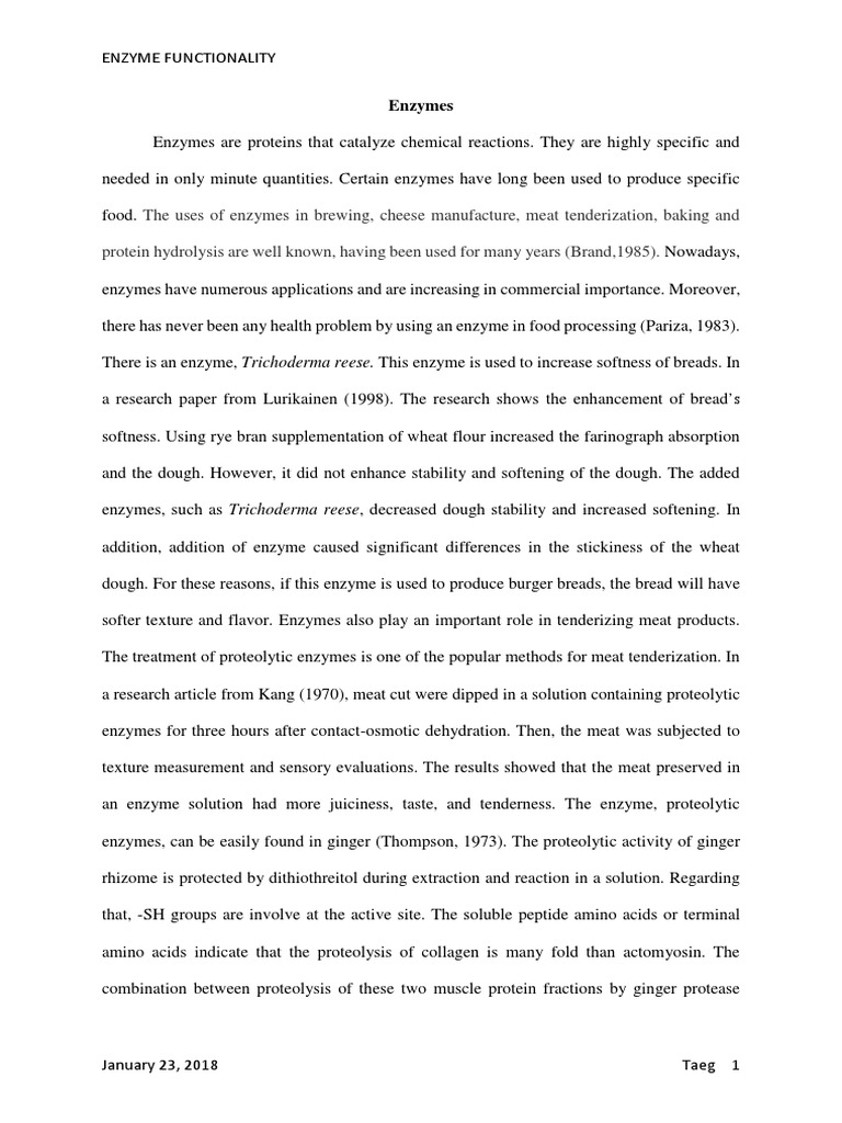 Enzymes PDF Breads Dough