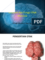 Anatomi Dan Fungsi Otak Manusia