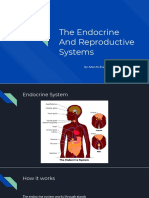 body systems  endo repro  slides