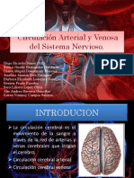 Circulación Arterial y Venosa Del Sistema Nervioso.