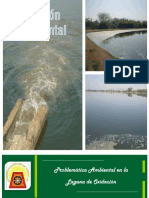 187860655-Gestion-Laguna-de-Oxidacion.pdf