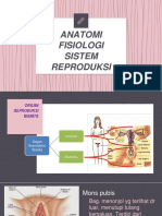 KBA (Anatomi Fisiologi Sistem Reproduksi)