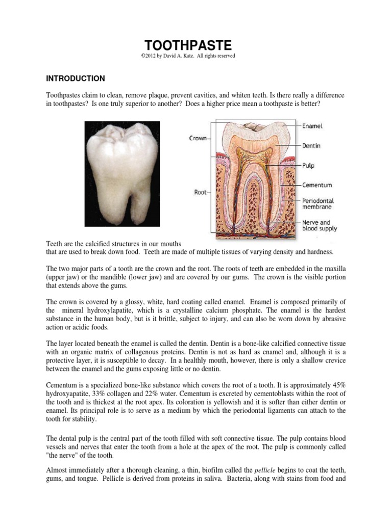 Toothpaste PDF | PDF | Human Tooth | Tooth Enamel