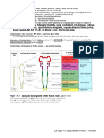 cns revision.pdf