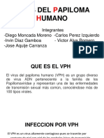 Virus Del Papiloma Humano
