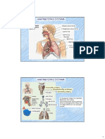 Anatomy4 PDF