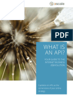 What-is-an-API-1.0.pdf