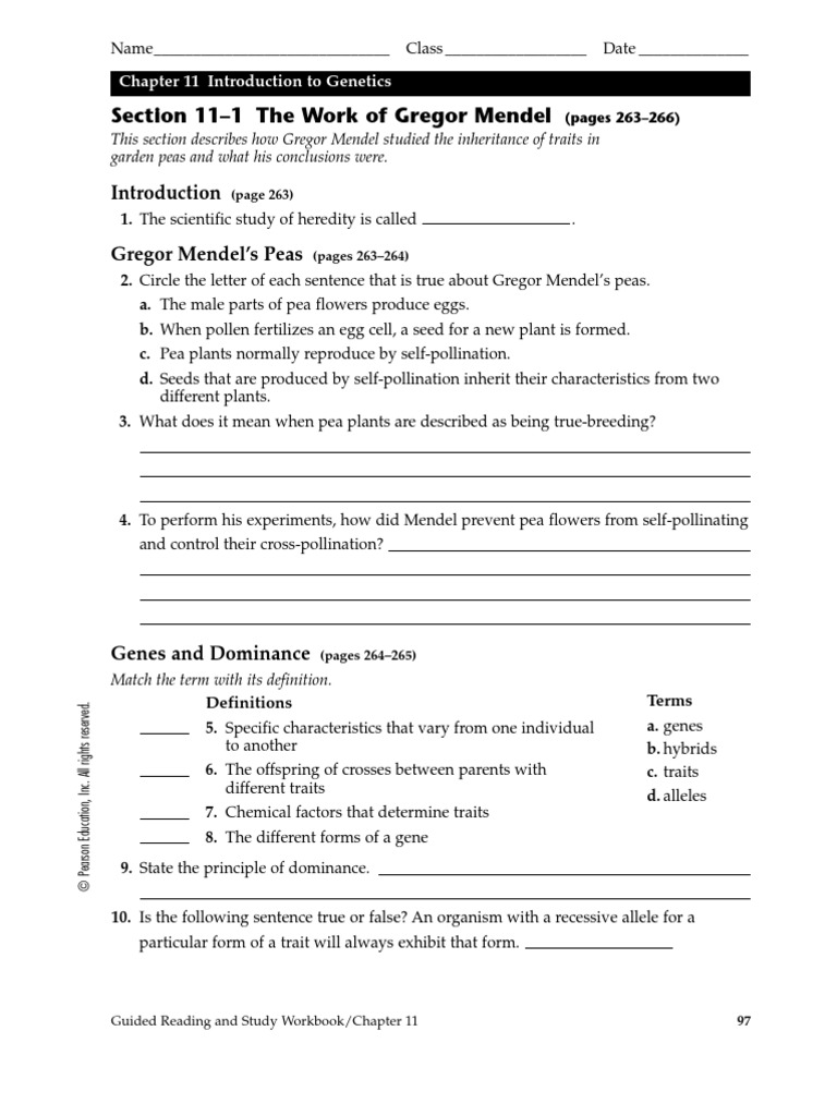 worksheet-work-of-gregor-mendel-dominance-genetics-heredity