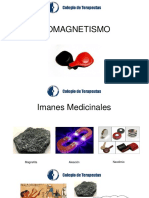 PPT BIOMAGNETIMO