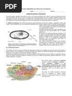 Guia de Celulas Octavo Basico