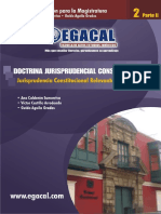 Doctrina Jurisprudencia Constitucional II, Parte 2 - Calderón, Castillo, Aguila