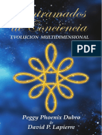 Entramados_de_Concienciaevolucion_multidimensional_desprotegido.pdf