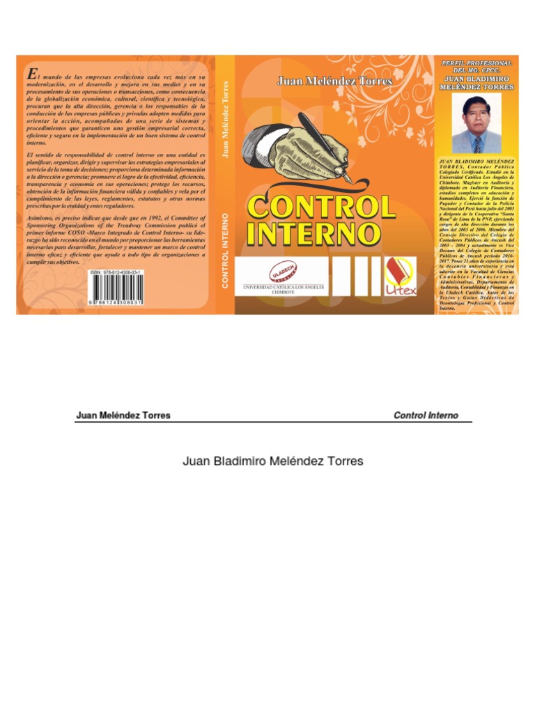 Libro de Control Interno | PDF | Auditoría financiera | Contabilidad