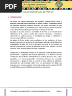 246066355 Informe 1 Congelacion de Pulpa de Frutas Docx