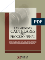 01 Las Medidas Cautelares en El Proceso Penal PDF